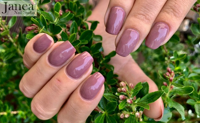 View our manicures guide - Manicures from Janea Nail Studio